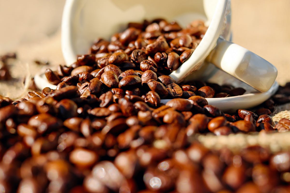 From Bean to Cup: Coffee That Travels the World